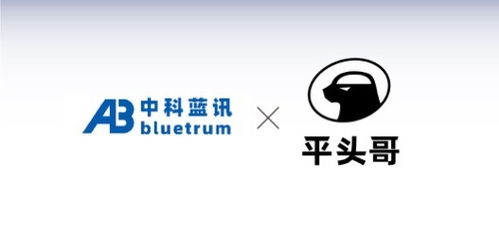 藍(lán)牙芯片廠商中科藍(lán)訊與平頭哥半導(dǎo)體達(dá)成合作