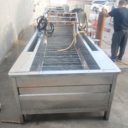 【果蔬清洗線(xiàn)、水產(chǎn)品清洗設(shè)備、土豆清洗設(shè)備、大棗清洗設(shè)備】- 