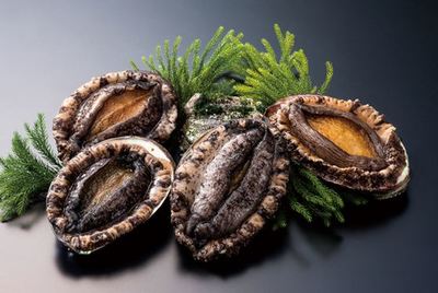 鮑魚的清洗 怎么洗?